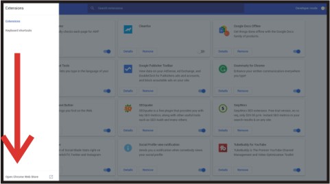 CHROME l MOZILLA BROWSER EXTENSION KYA HAI